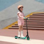 اسکوتر برقی شیائومی Segway-Ninebot Zing A6 mester xiaomi