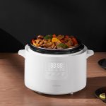 زودپز شیائومی 4.8 لیتری مدل Xiaomi Electric Pressure Cooker 4.8L mester xiaomi