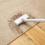 جارو برقی شیائومی مدل Mijia wired vacuum cleaner B210 mester xiaomi
